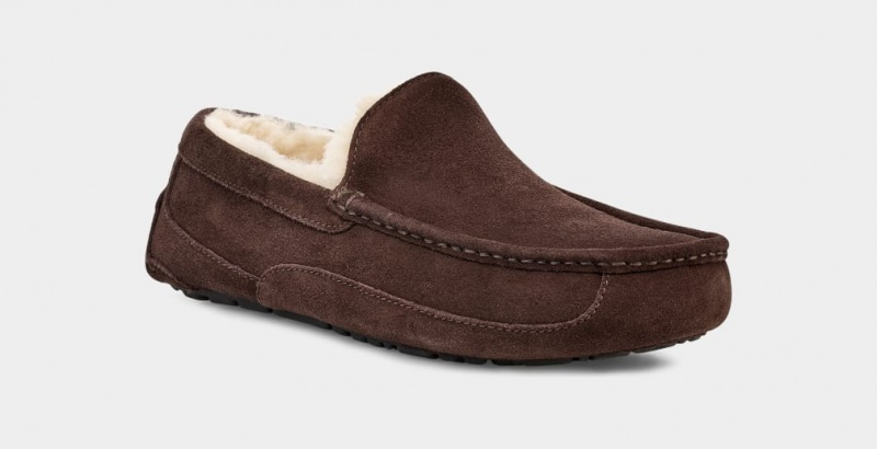 Ugg Ascot Mockasiner Herr Bruna | Sverige-21905