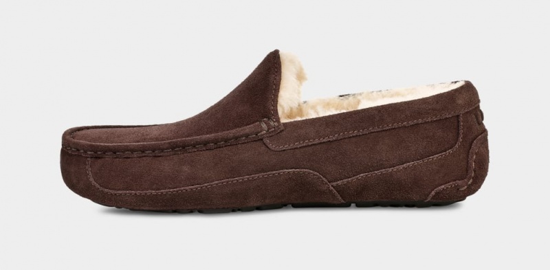 Ugg Ascot Mockasiner Herr Bruna | Sverige-21905