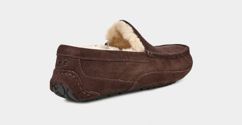 Ugg Ascot Mockasiner Herr Bruna | Sverige-21905