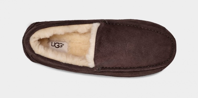 Ugg Ascot Mockasiner Herr Bruna | Sverige-21905