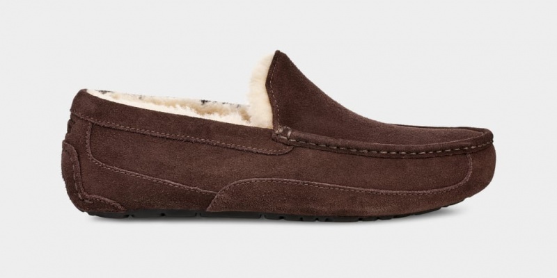 Ugg Ascot Mockasiner Herr Bruna | Sverige-21905