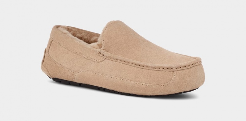 Ugg Ascot Mockasiner Herr Bruna | Sverige-47910