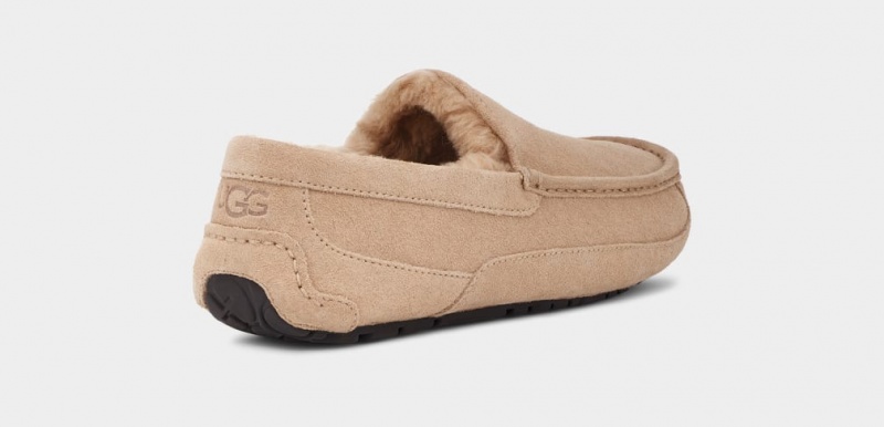 Ugg Ascot Mockasiner Herr Bruna | Sverige-47910