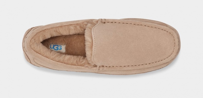 Ugg Ascot Mockasiner Herr Bruna | Sverige-47910