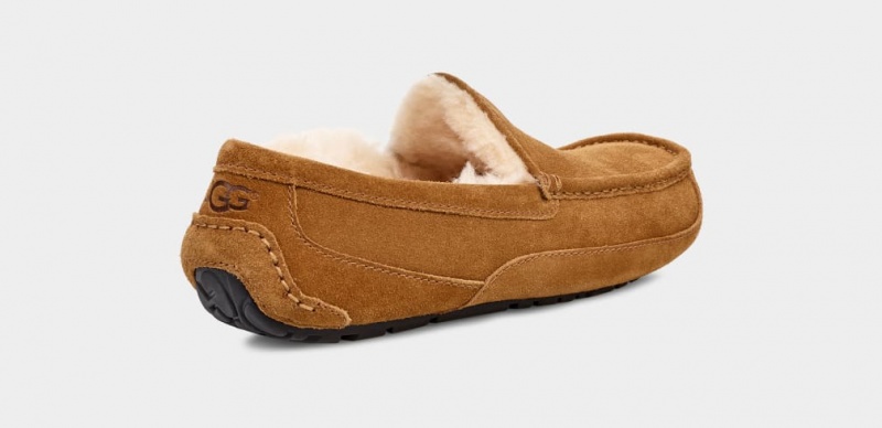 Ugg Ascot Mockasiner Herr Bruna | Sverige-67823