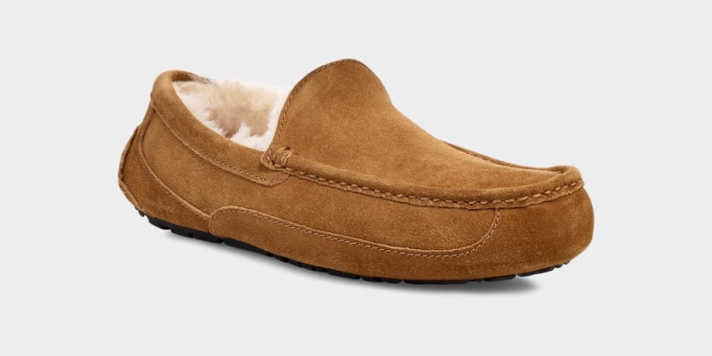 Ugg Ascot Mockasiner Herr Bruna | Sverige-67823