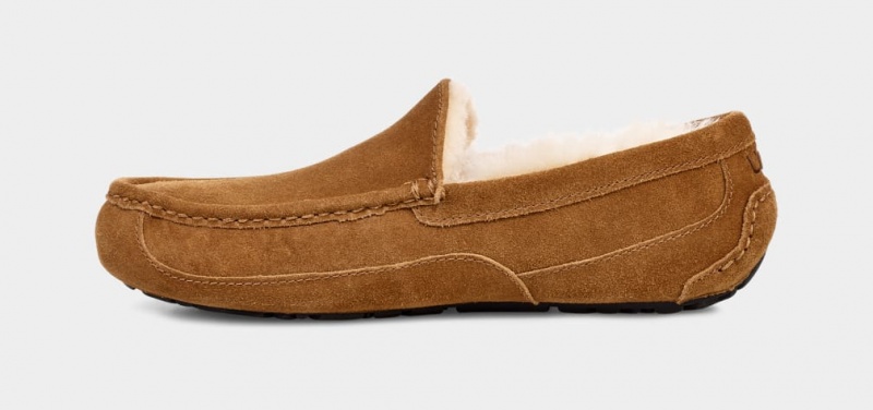 Ugg Ascot Mockasiner Herr Bruna | Sverige-67823