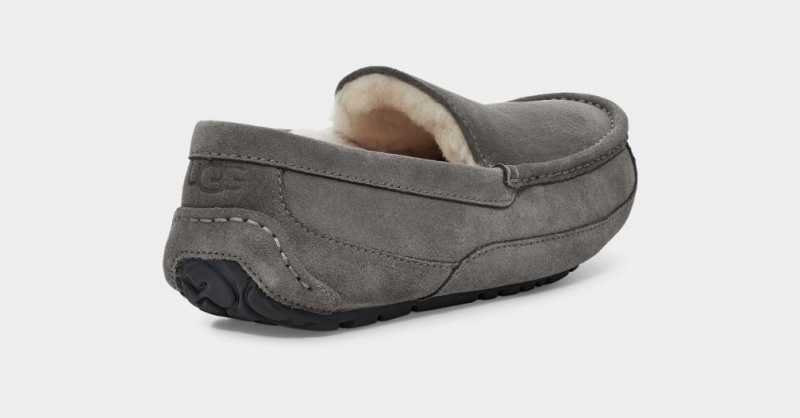 Ugg Ascot Mockasiner Herr Grå | Sverige-95704