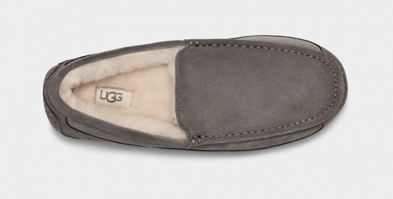 Ugg Ascot Mockasiner Herr Grå | Sverige-95704