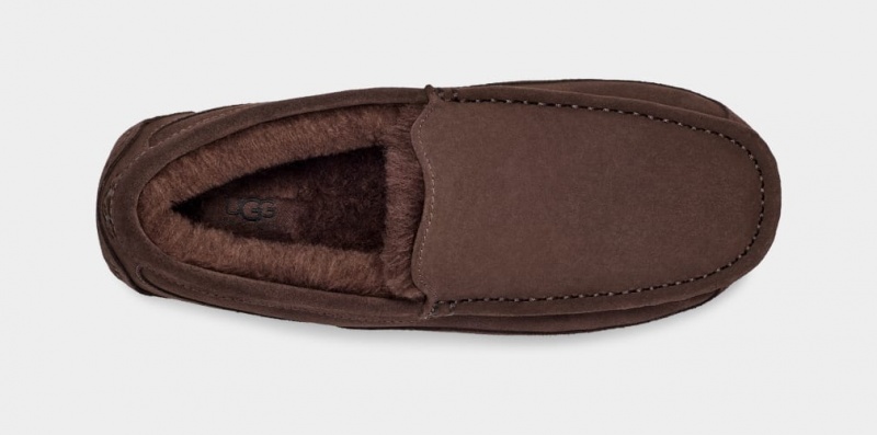 Ugg Ascot Mockasiner Herr Mörkbruna | Sverige-07486