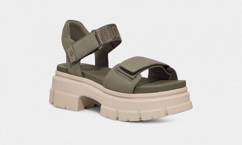 Ugg Ashton Ankle Sandaler Dam Gröna | Sverige-58470