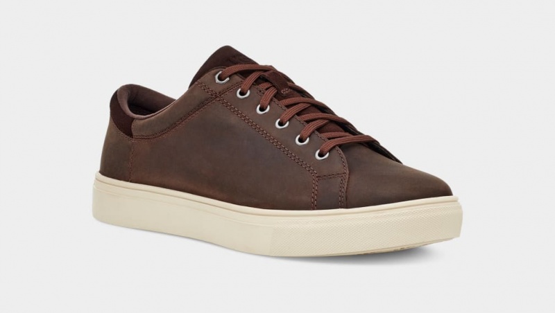 Ugg Baysider Low Weather Sneakers Herr Choklad | Sverige-16520