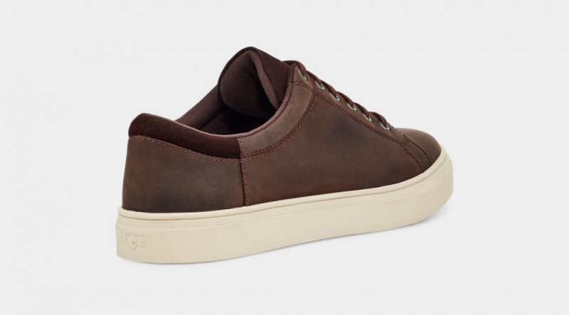 Ugg Baysider Low Weather Sneakers Herr Choklad | Sverige-16520