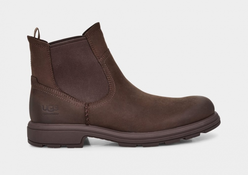 Ugg Biltmore Chelsea Stövlar Herr Bruna | Sverige-62739