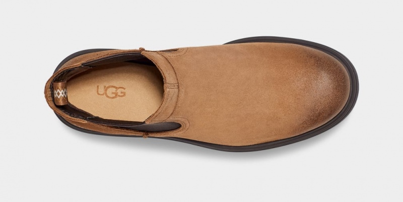 Ugg Biltmore Chelsea Stövlar Herr Bruna | Sverige-32689