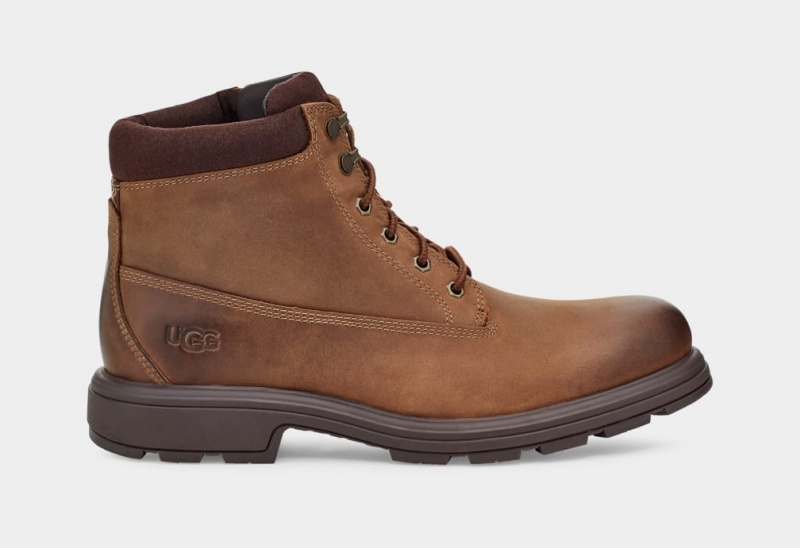 Ugg Biltmore Mid Boot Plain Tå Stövlar Herr Bruna | Sverige-91358