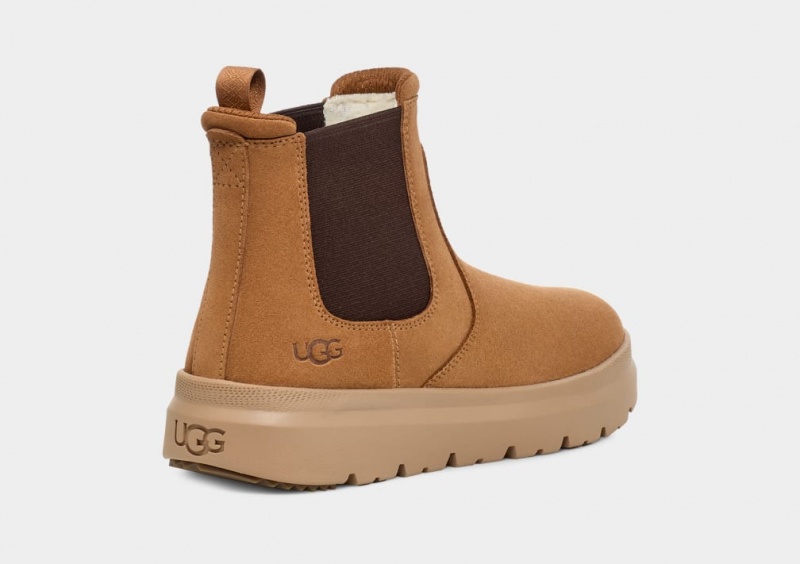 Ugg Burleigh Chelsea Stövlar Herr Bruna | Sverige-06214