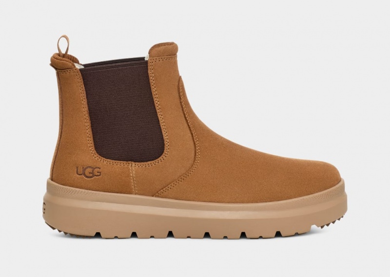 Ugg Burleigh Chelsea Stövlar Herr Bruna | Sverige-06214