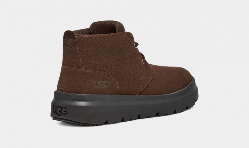 Ugg Burleigh Chukka Sneakers Herr Bruna | Sverige-60927