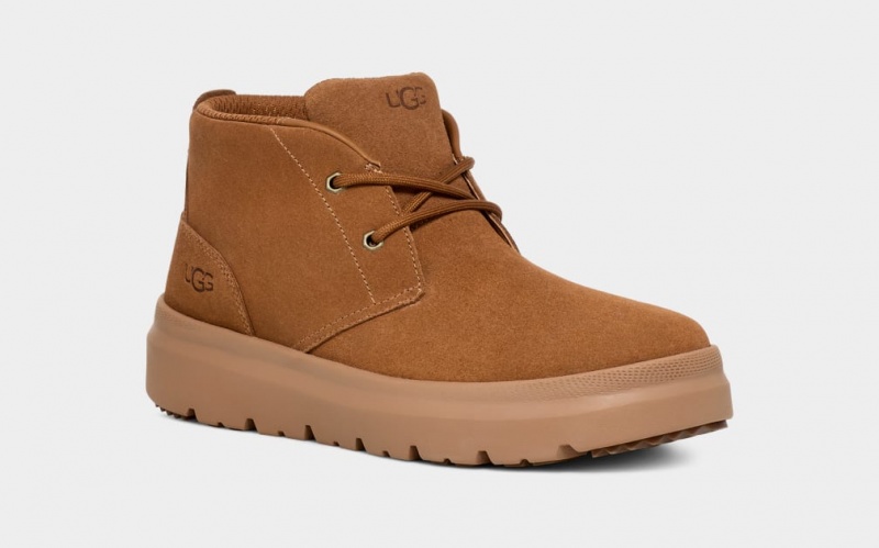 Ugg Burleigh Chukka Sneakers Herr Bruna | Sverige-75281