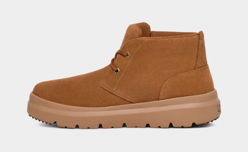 Ugg Burleigh Chukka Sneakers Herr Bruna | Sverige-75281