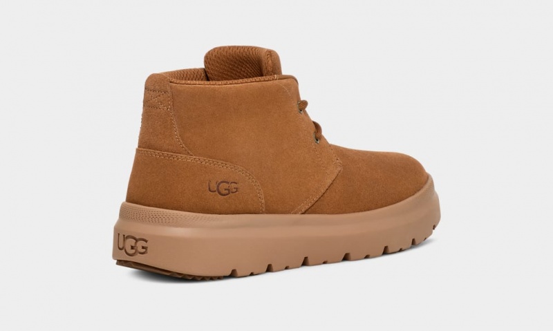 Ugg Burleigh Chukka Sneakers Herr Bruna | Sverige-75281