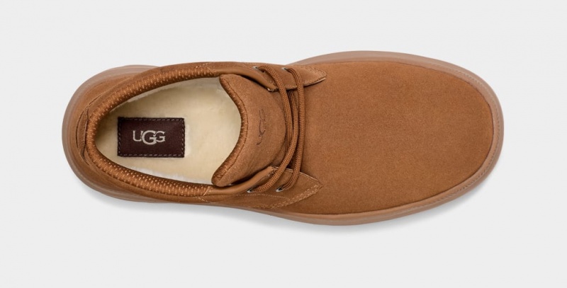 Ugg Burleigh Chukka Sneakers Herr Bruna | Sverige-75281