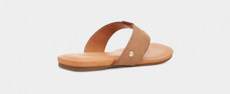 Ugg Carey Flip Badtofflor Sandaler Dam Bruna | Sverige-10295