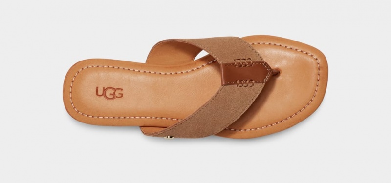 Ugg Carey Flip Badtofflor Sandaler Dam Bruna | Sverige-10295