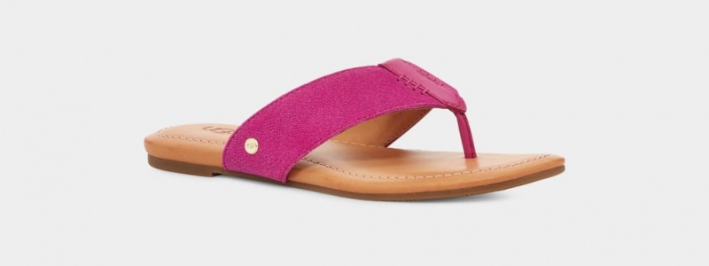 Ugg Carey Flip Badtofflor Sandaler Dam Rosa | Sverige-05172