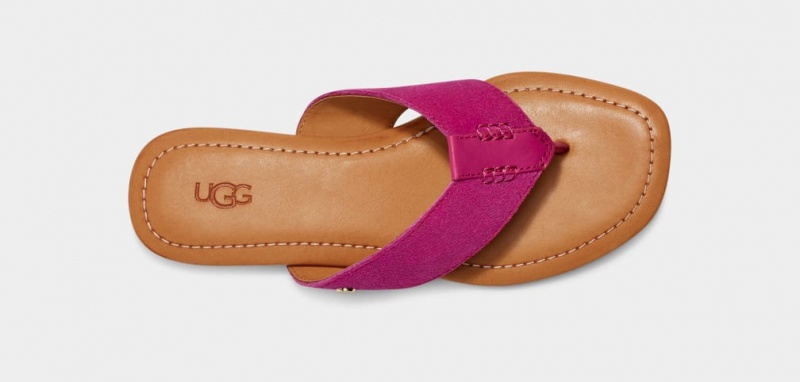 Ugg Carey Flip Badtofflor Sandaler Dam Rosa | Sverige-05172