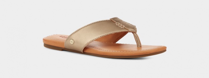 Ugg Carey Flip Flop Sandaler Dam Guld Metal | Sverige-25348