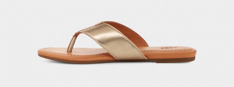 Ugg Carey Flip Flop Sandaler Dam Guld Metal | Sverige-25348