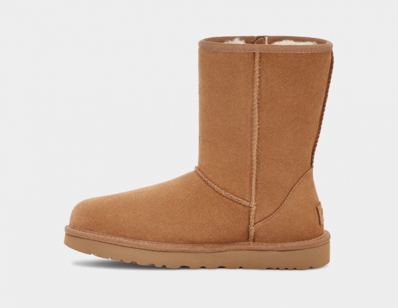 Ugg Classic Korta Bailey Zip Stövlar Dam Bruna | Sverige-58236