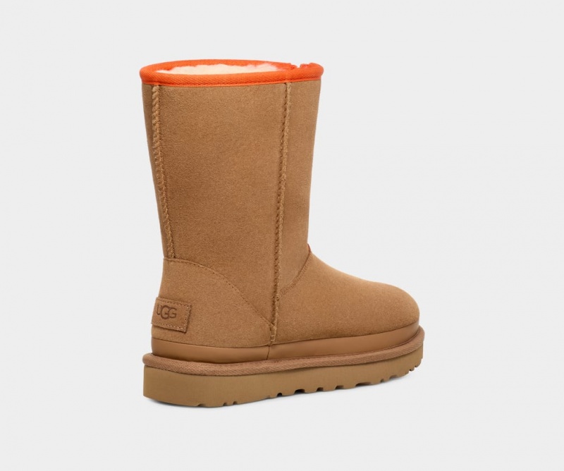 Ugg Classic Korta Dragkedja Tape Logo Stövlar Dam Bruna | Sverige-13624