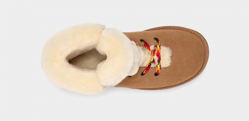 Ugg Classic Mini Alpine Spets Stövlar Dam Bruna | Sverige-35120