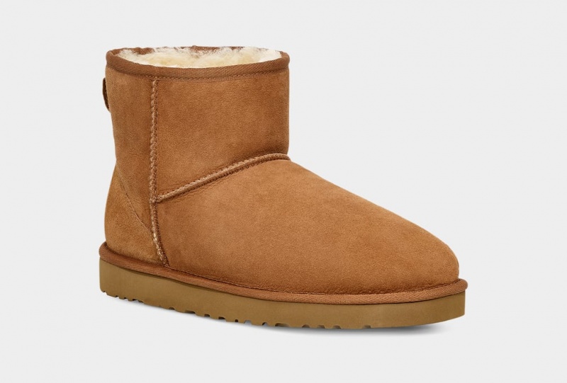 Ugg Classic Mini Stövlar Herr Bruna | Sverige-28514