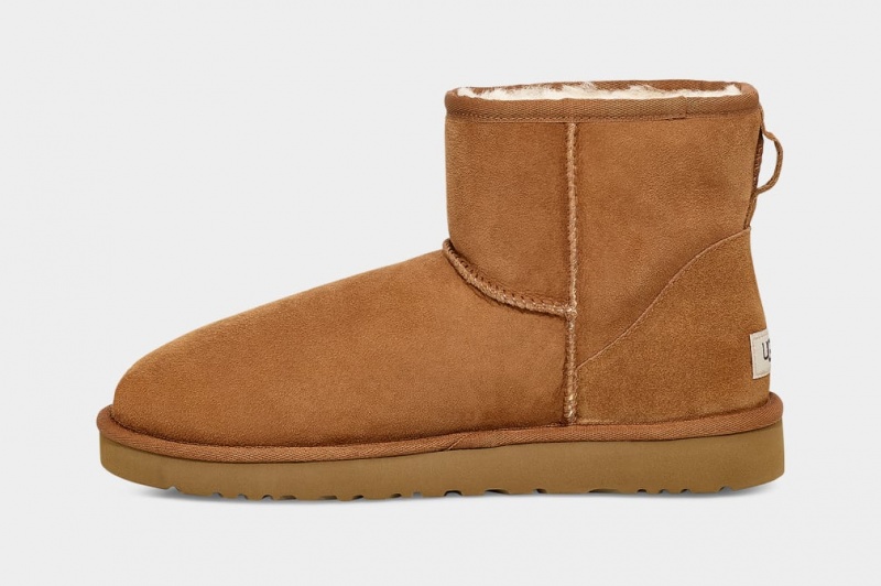 Ugg Classic Mini Stövlar Herr Bruna | Sverige-28514