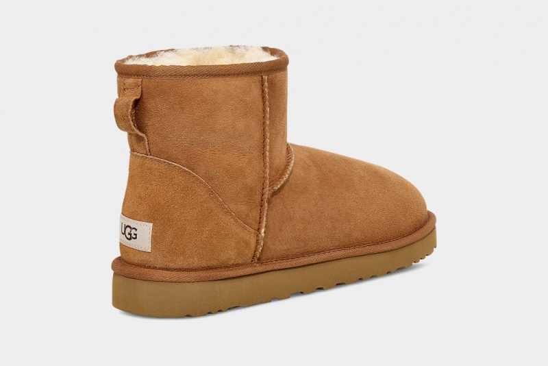 Ugg Classic Mini Stövlar Herr Bruna | Sverige-28514