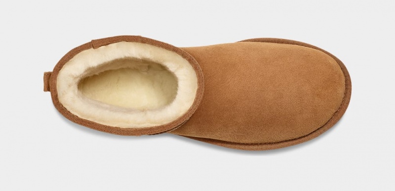 Ugg Classic Mini Stövlar Herr Bruna | Sverige-28514