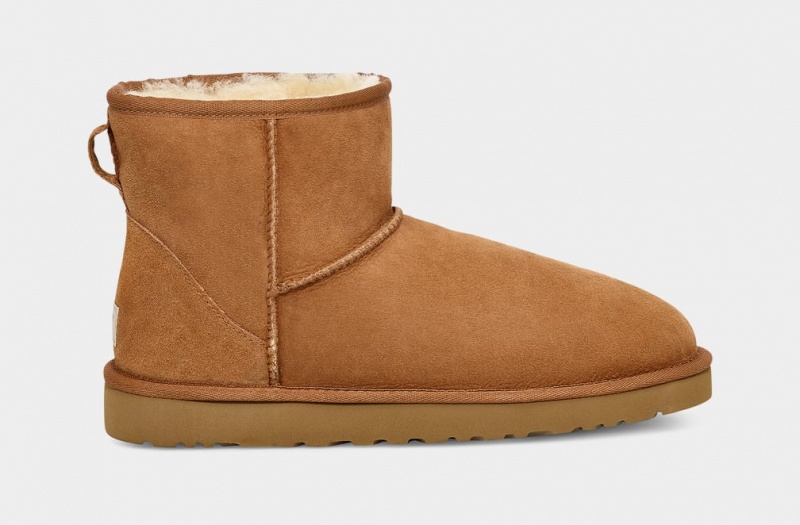 Ugg Classic Mini Stövlar Herr Bruna | Sverige-28514