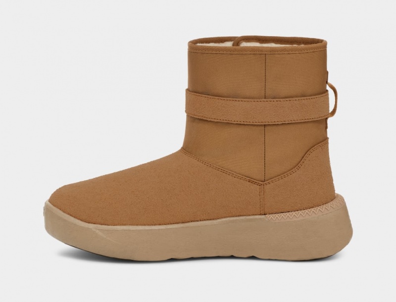 Ugg Classic S Stövlar Herr Bruna | Sverige-52143