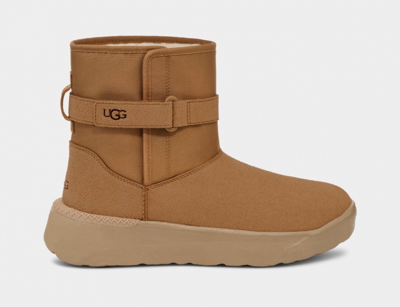 Ugg Classic S Stövlar Herr Bruna | Sverige-52143