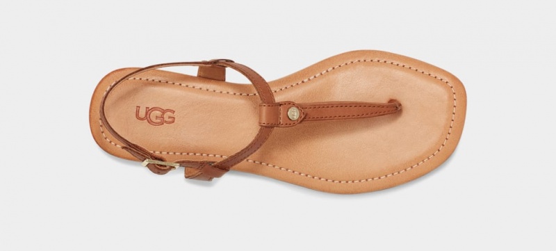 Ugg Madeena Läder Flip Flop Sandaler Dam Bruna | Sverige-42719