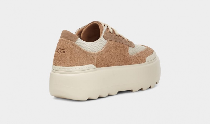 Ugg Marin Mega Spets Sneakers Dam Bruna | Sverige-63527