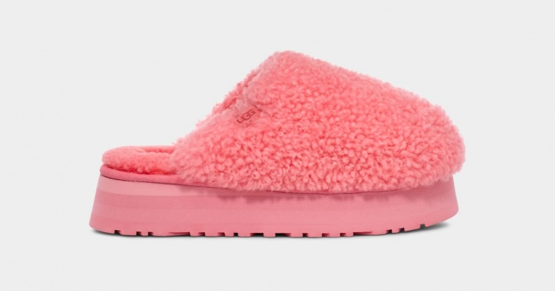 Ugg Maxi Curly Platform Tofflor Dam Rosa | Sverige-63758