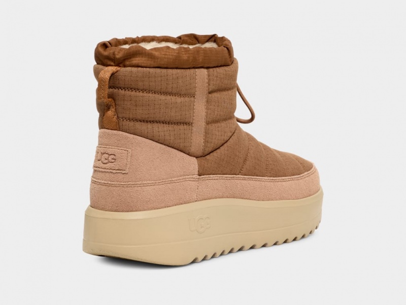 Ugg Maxxer Mini Stövlar Herr Bruna | Sverige-01923