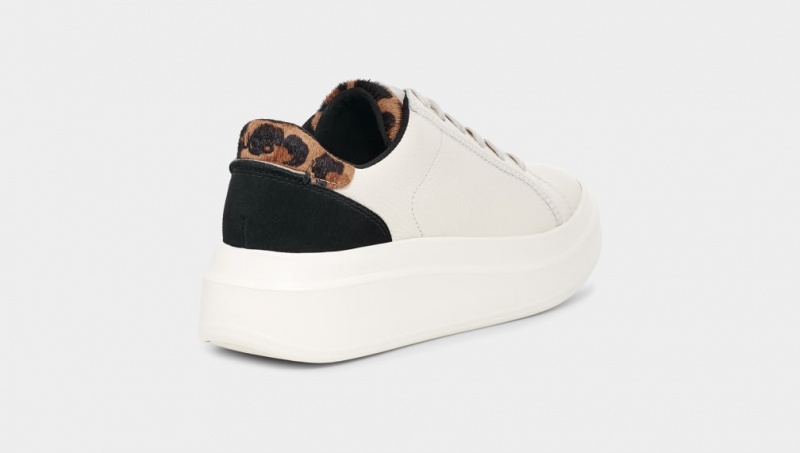 Ugg Scape Animal Print Sneakers Dam Beige | Sverige-20735