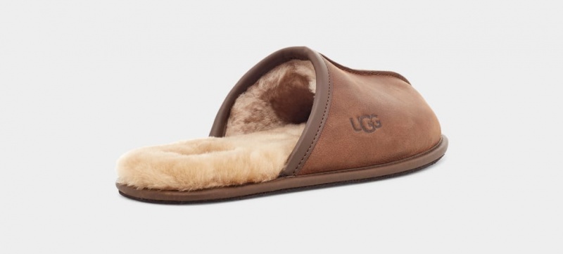 Ugg Scuff Läder Tofflor Herr Bruna | Sverige-41603