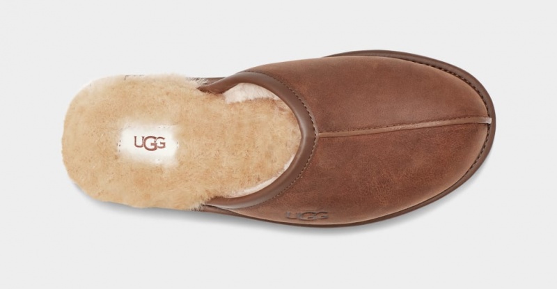 Ugg Scuff Läder Tofflor Herr Bruna | Sverige-41603